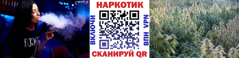  COCAIN Петрозаводск