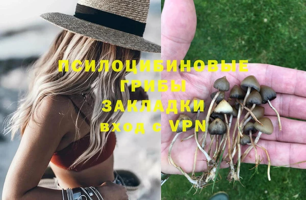 гидропоника Балахна