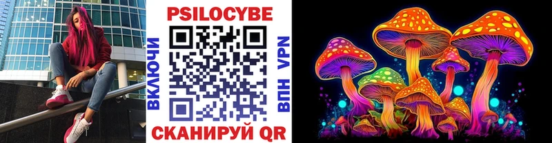 kraken онион Петрозаводск сайты даркнета наркотические препараты Псилоцибиновые грибы ЛСД